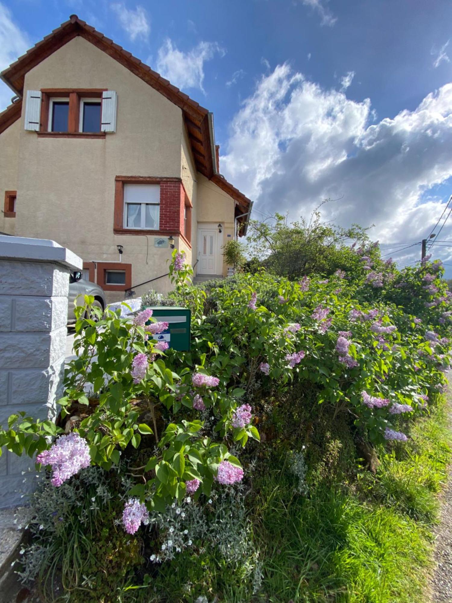 Le Refuge De L'Ours Villa Baerenthal Exterior photo