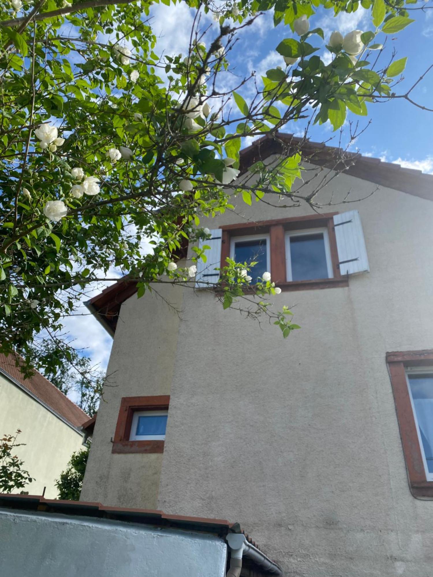 Le Refuge De L'Ours Villa Baerenthal Exterior photo