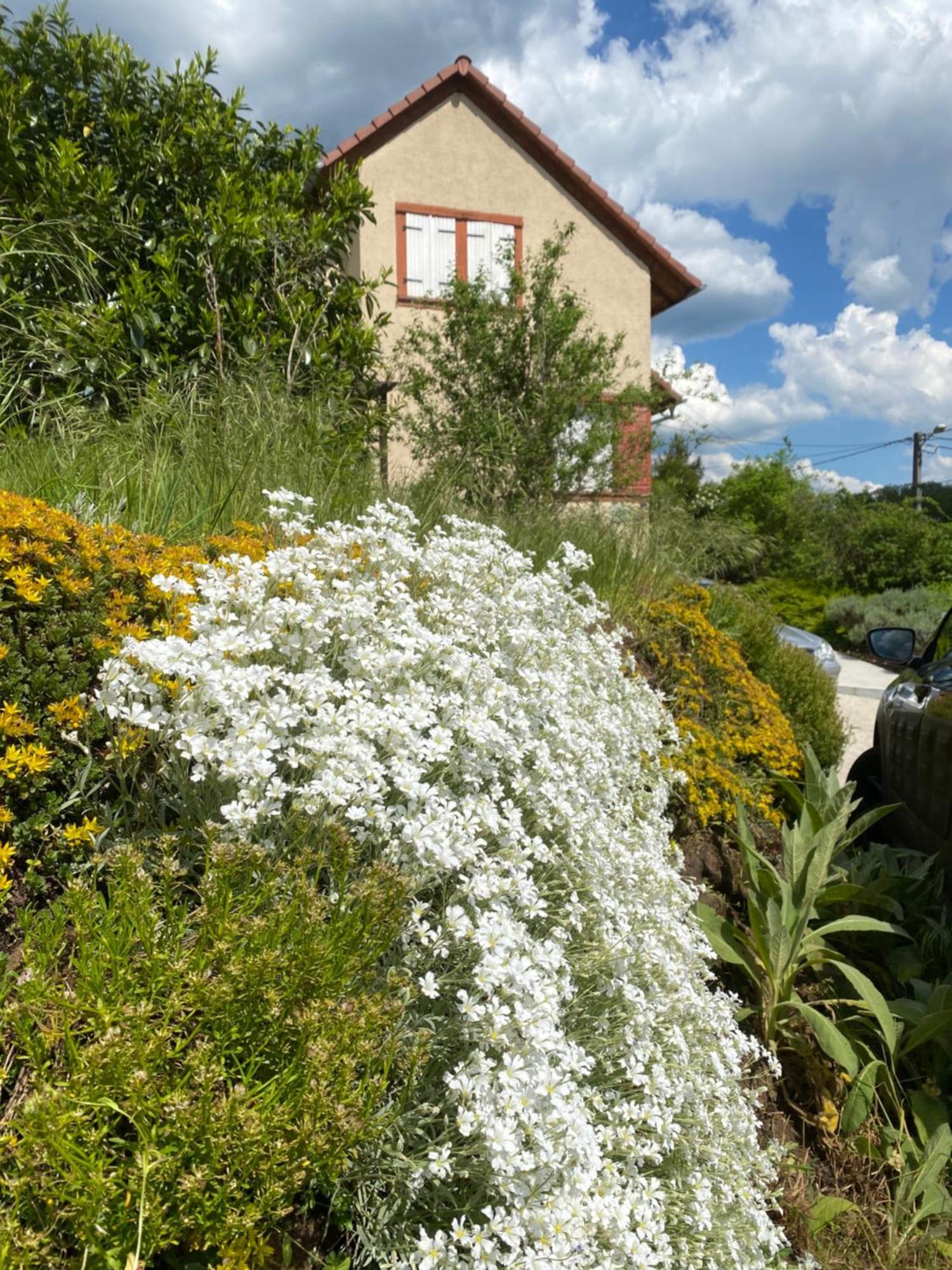 Le Refuge De L'Ours Villa Baerenthal Exterior photo