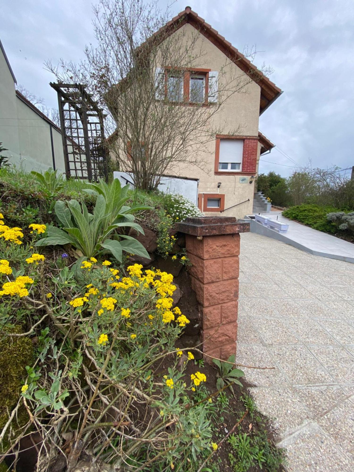Le Refuge De L'Ours Villa Baerenthal Exterior photo
